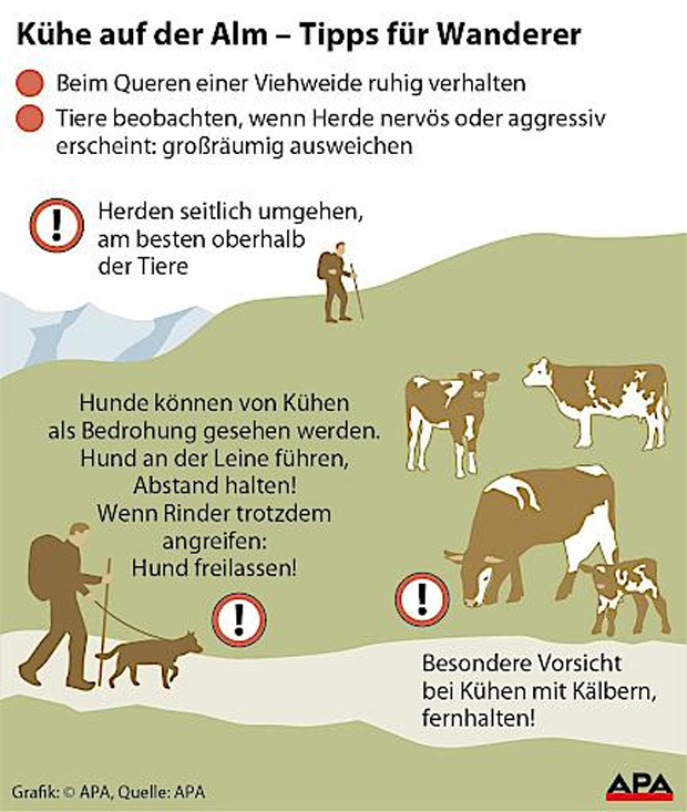 Das sind die 10 Regeln für Almbesucher