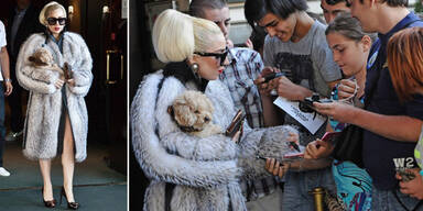 Lady Gaga ist PETAs neues Opfer