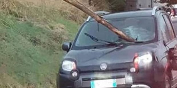 Unwetter verwüsten die Adria-Küste