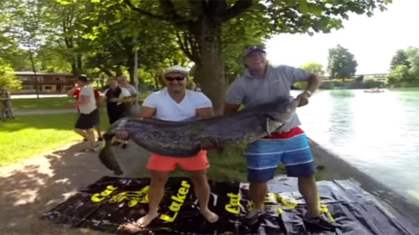 Monster-Wels aus dem Bodensee gezogen