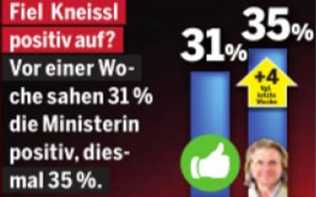 1. Umfrage: Kneissl spaltet das Land