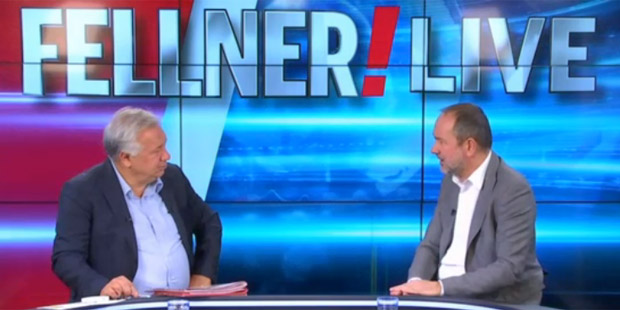 Drozda Fellner