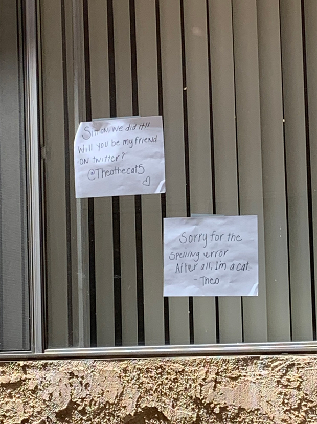 So ungewöhnlich verliebte sich dieser Kater