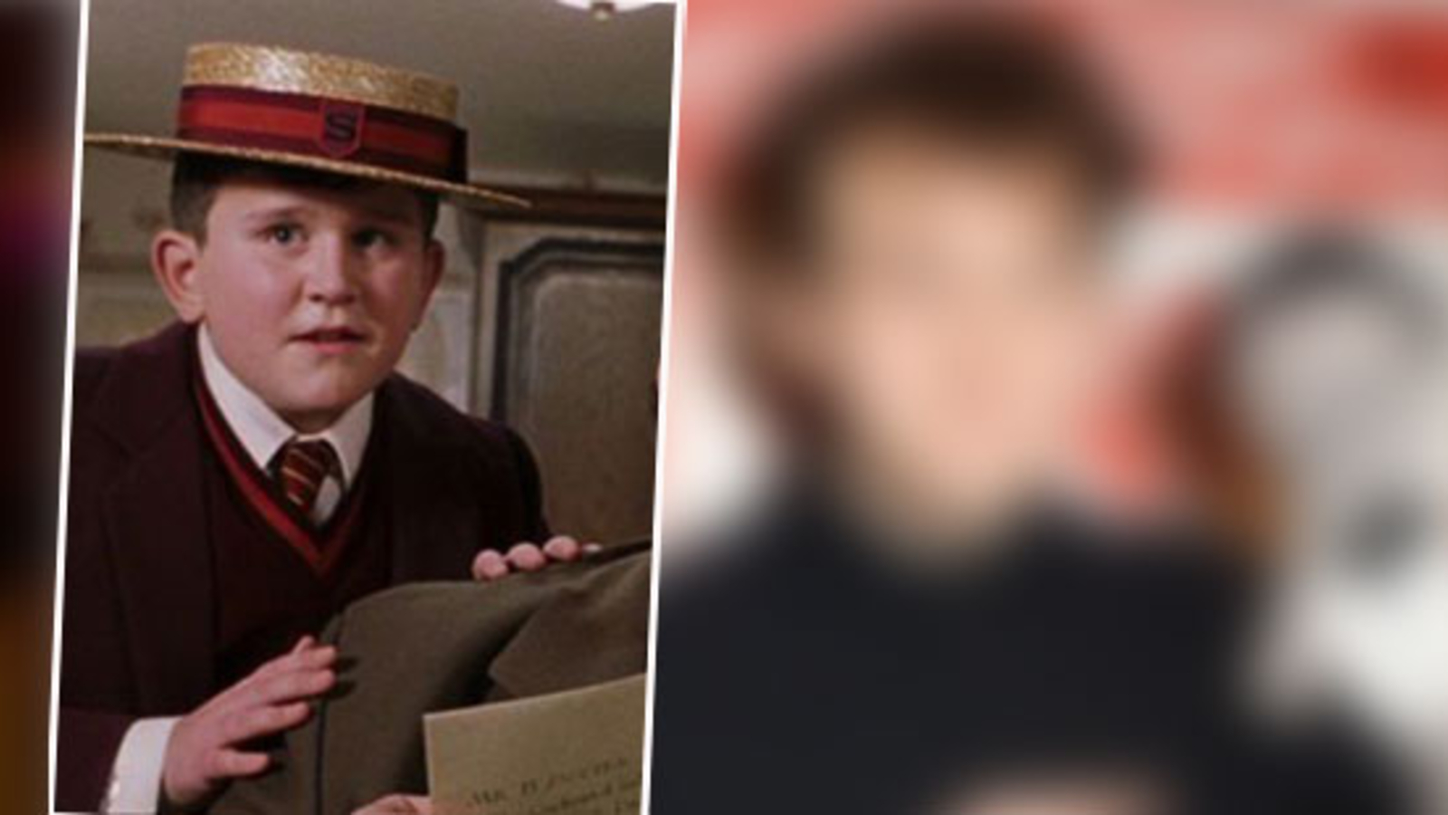 Das wurde aus Dudley Dursley