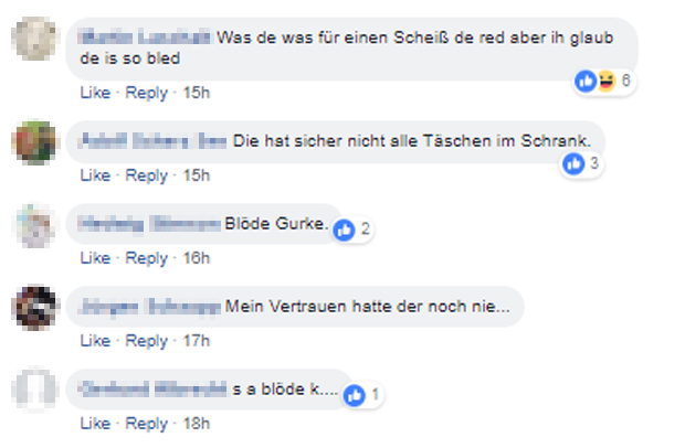 FPÖ-Fans mit Hasstiraden gegen Rendi-Wagner