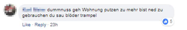 FPÖ-Fans mit Hasstiraden gegen Rendi-Wagner