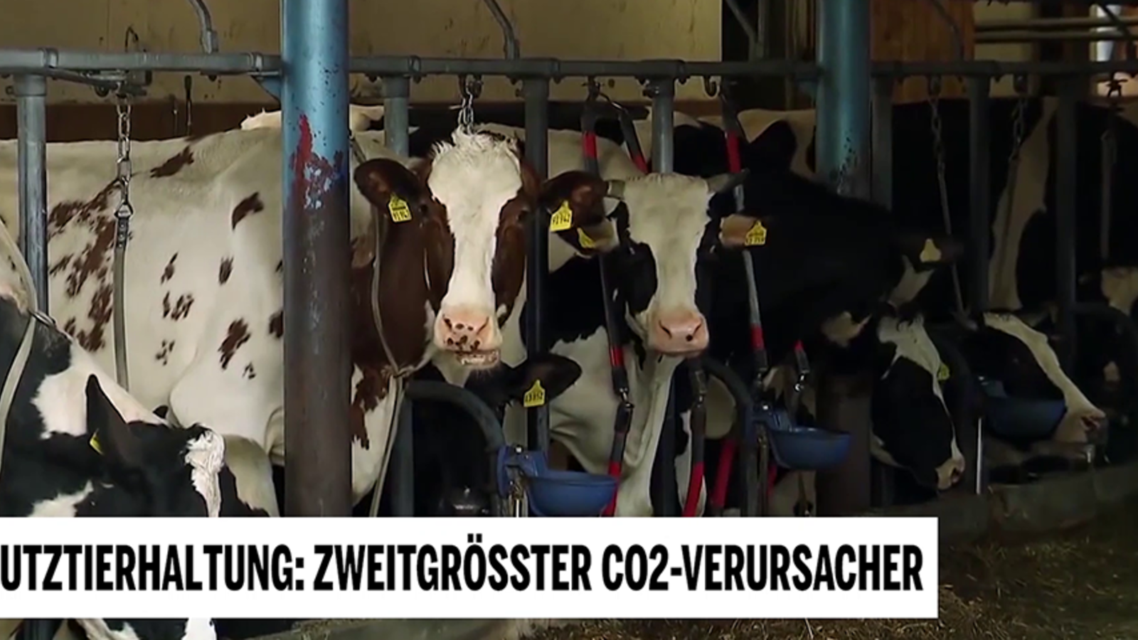 Landwirtschaft produziert Unmengen CO₂