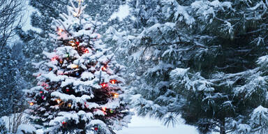 Schnee ade! Wenig Chance auf Weiße Weihnachten | Wer noch hoffen darf
