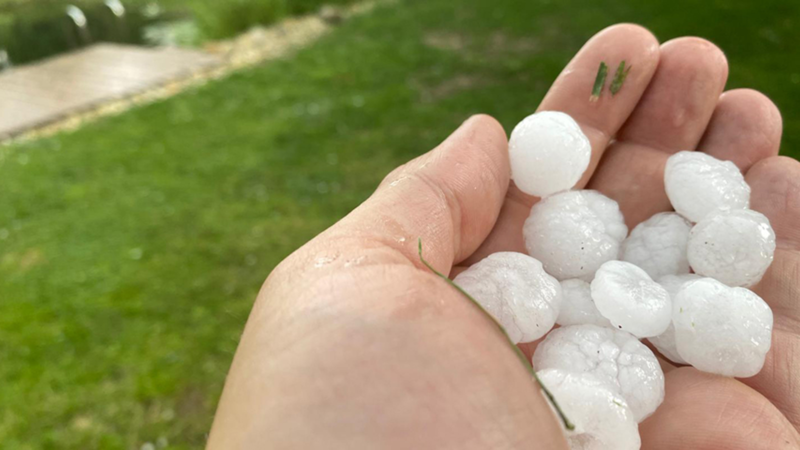 Hagel-Unwetter Zog über Wien