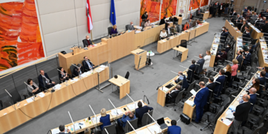 Der österreichische Nationalrat