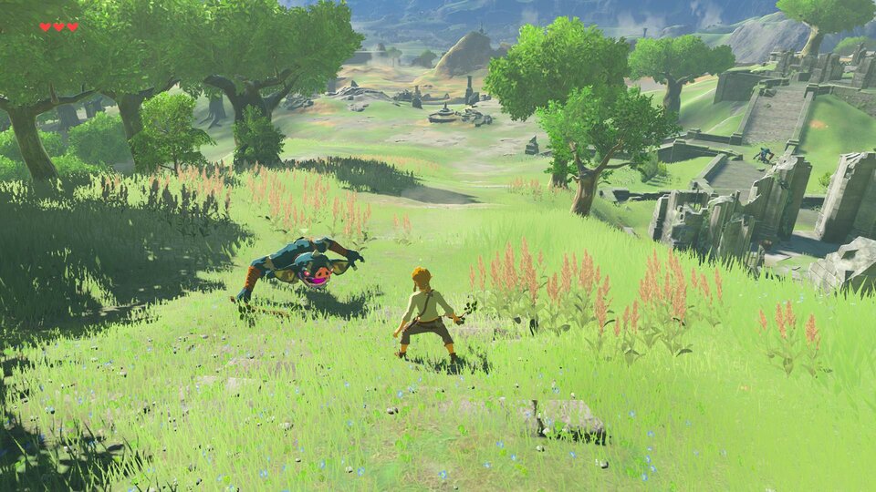 Zelda