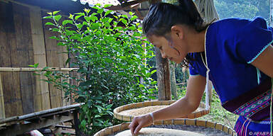 "Home Stay": Thailand abseits des Massentourismus