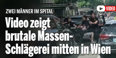 Video zeigt brutale Massen-Schlägerei mitten in Wien