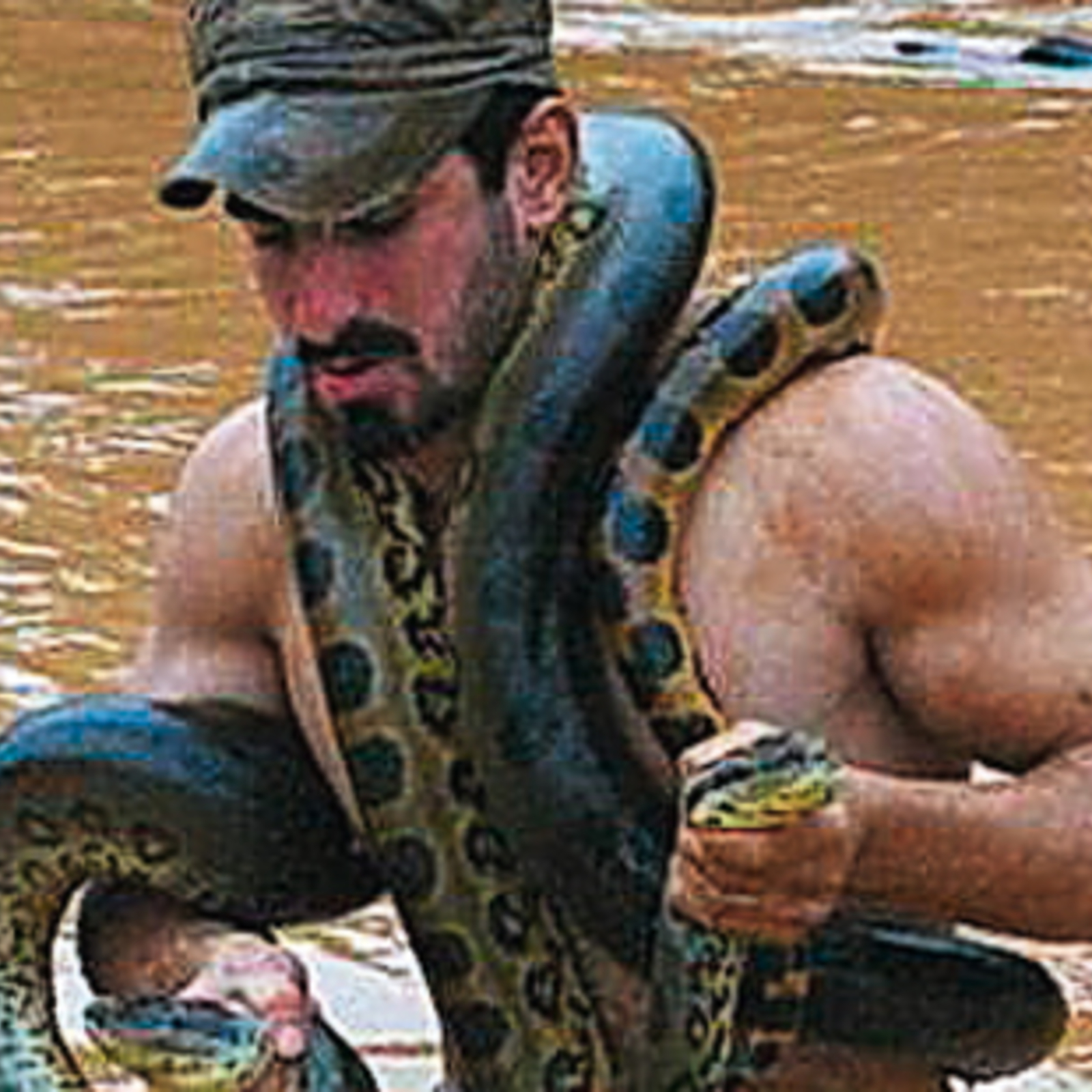 Frisst frau anaconda lebende Tigerkrebs, Cherax