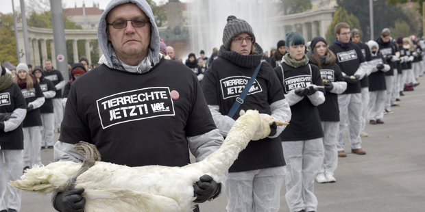 Tierschützer-Protest mit 650 toten Tieren