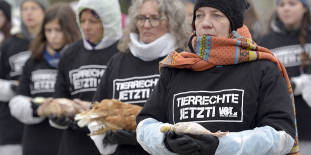 Tierschützer-Protest mit 650 toten Tieren