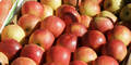 T-Mobile kauft 9,6 Tonnen Äpfel