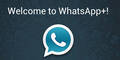 WhatsApp+