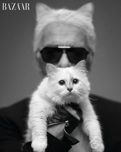Choupette Lagerfelds erstes Shooting
