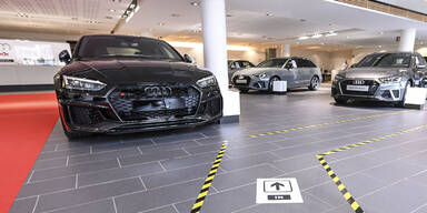 Bande klaute 26 Audis in Niederösterreich