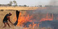 Buschbrände in Australien fast gelöscht