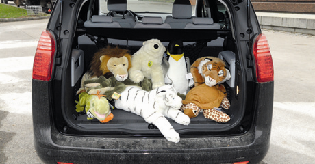 5008 - Familienlöwe mit bis zu 7 Sitzen