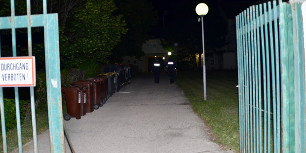 Amoklauf mit 6 Verletzen in Baden: Es war eine Beziehungstat