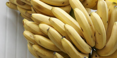 Klimawandel: Bananenknappheit droht