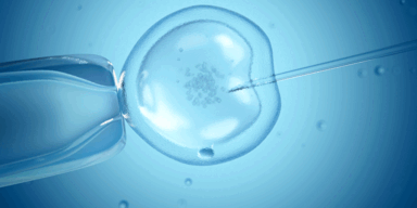 IVF: So läuft eine künstliche Befruchtung ab