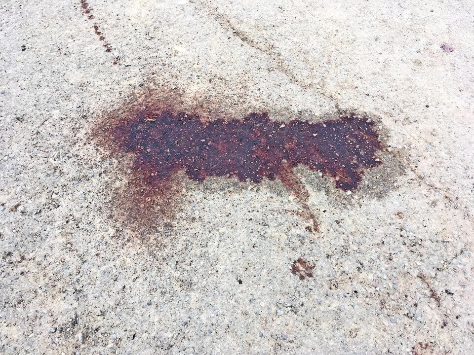 Blut