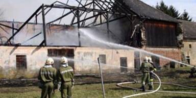 brand