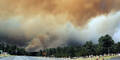 In den USA wüten weiter Buschfeuer