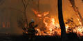 Buschbrände: Todesopfer in Australien