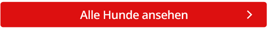 button_HundeAnsehen.png