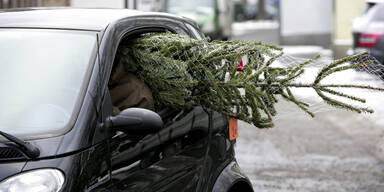 Tipps für sicheren Christbaum-Transport