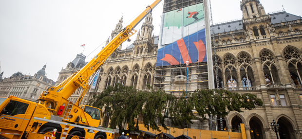 Pinzgauer am Wiener Rathausplatz
