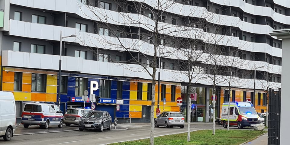 72-Jährige sticht 84-Jährigen nieder