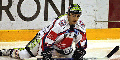 cornacchia
