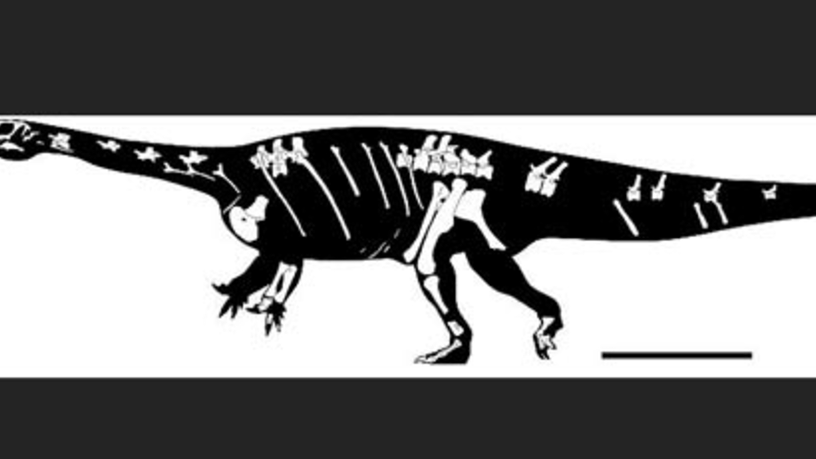 Neue DinoArt entdeckt