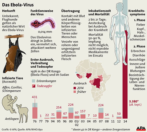 So gefährlich ist Ebola
