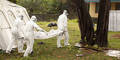 WHO-Sofortprogramm gegen Ebola
