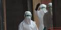 Schweden meldet möglichen Ebola-Fall