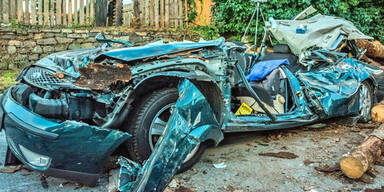 Horror-Crash: Baumstämme krachen auf Auto