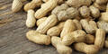Erdnüsse sollen gegen Erdnussallergie helfen