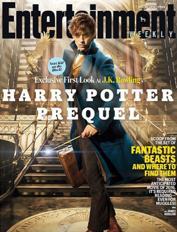 Eddie Redmayne, Harry Potter