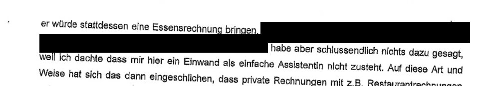 Strache: 'Angst meiner Gegner unermesslich groß'