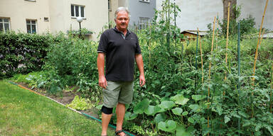 Gemeindebau: Dieser Garten muss jetzt weg