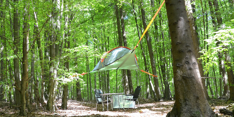 Baumzelt im Wald