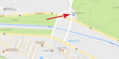 Witziger Google-Maps-Fehler begeistert Wien