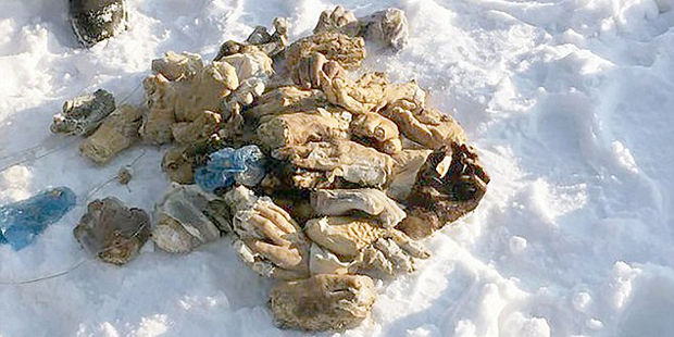 54 abgehackte Hände in Russland gefunden